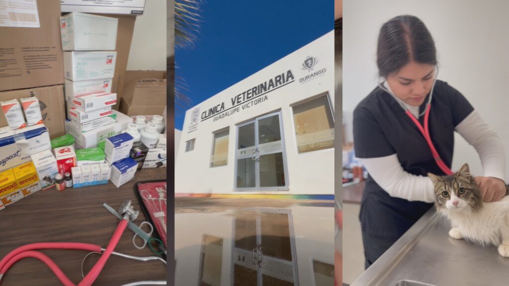 En funcionamiento la Clínica Veterinaria Municipal de Guadalupe Victoria