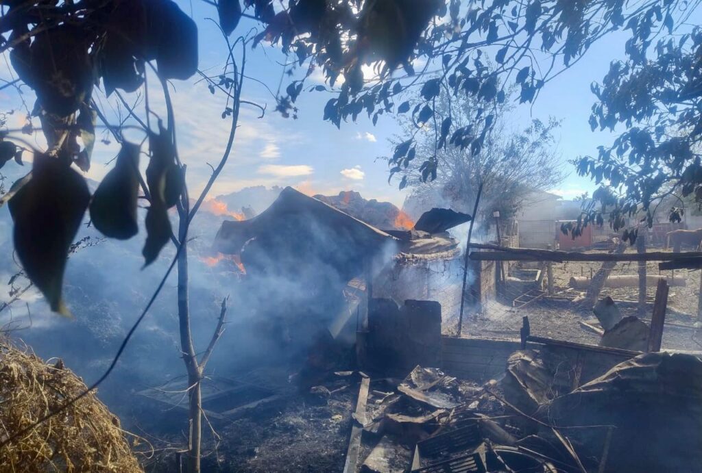 ¡Así se trabaja! Coordinación permite sofocar incendio de gran magnitud en Nuevo Ideal