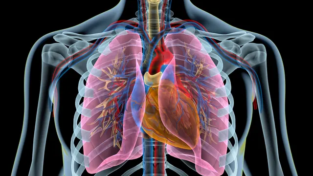 Un joven sobrevive dos días sin pulmones gracias a la innovación médica