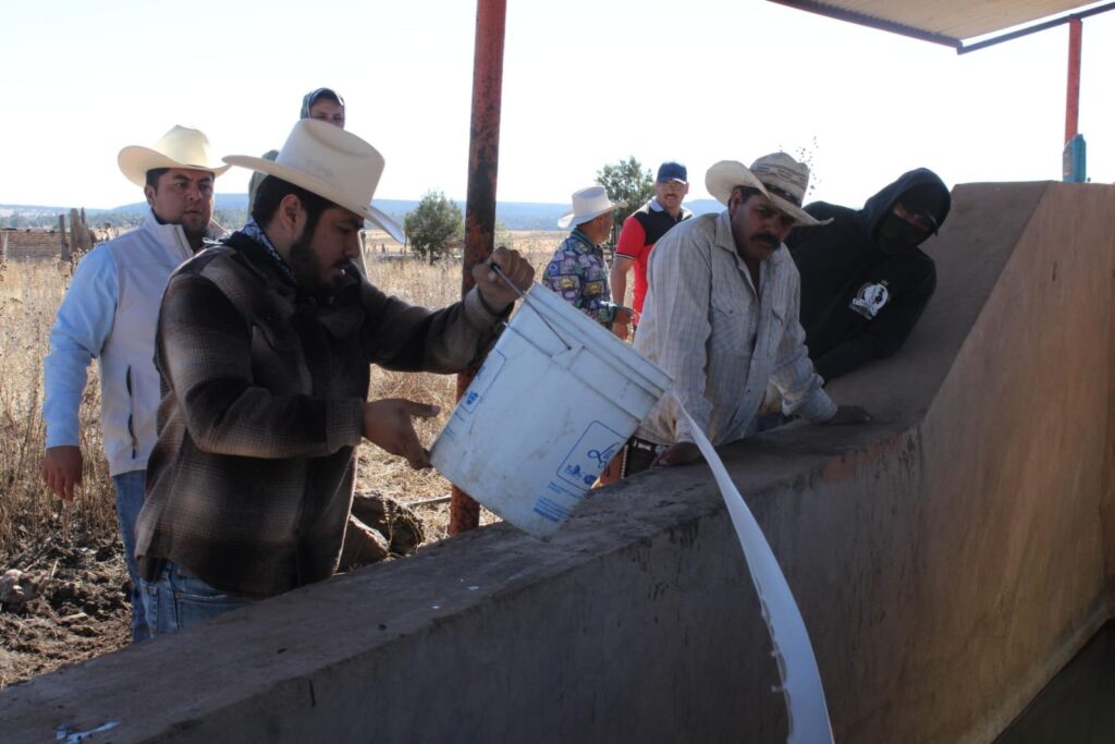 Aplican baños garrapaticidas al ganado en Durango; cuatro comunidades ya fueron atendidas