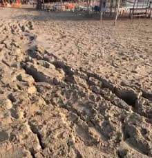 Sismo de 6.5 abre grietas en las playas de Acapulco