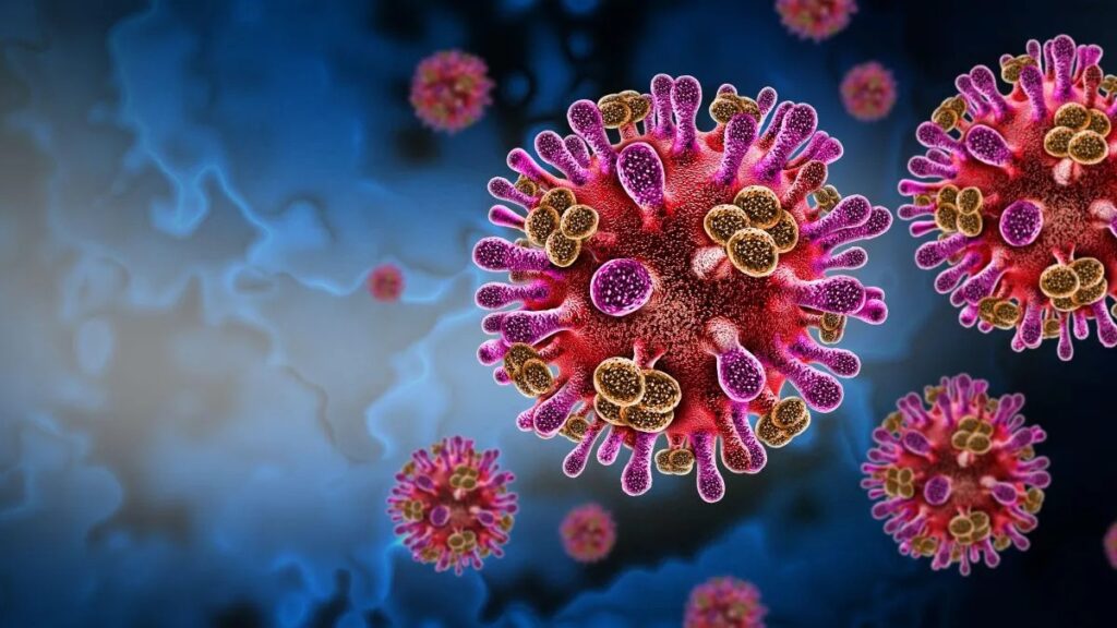 Virus Nipah en India: Síntomas, contagio y riesgos de la enfermedad mortal