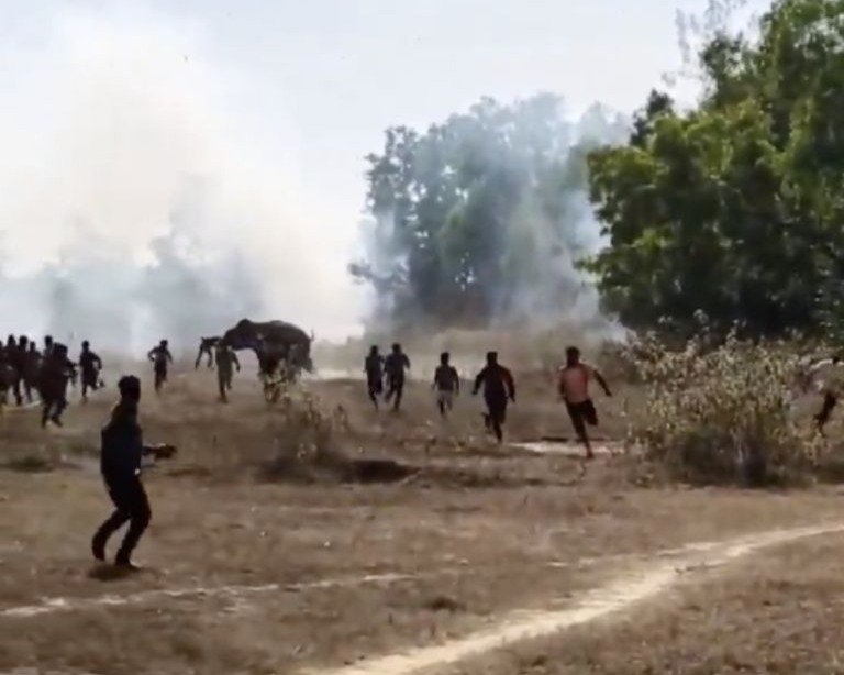 VIDEO: Elefante salvaje mata a 22 personas y sigue suelto