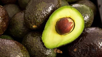 México se consolida como líder en exportación de Aguacates a Estados Unidos