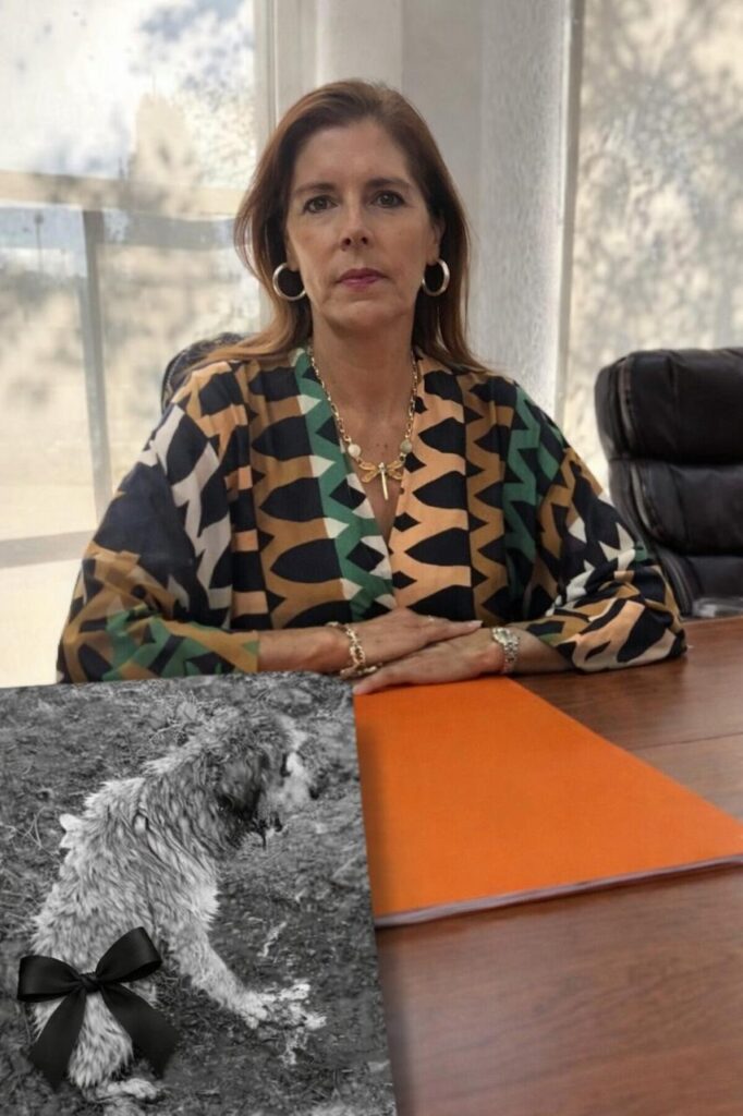 Exigen medidas para combatir el maltrato animal en Hidalgo del Parral