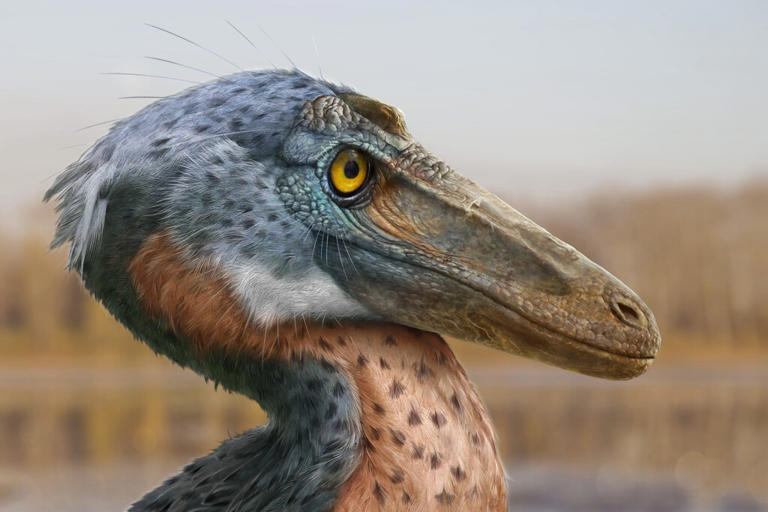 Descubren en Coahuila un dinosaurio carnívoro que vivió hace 74 millones de años