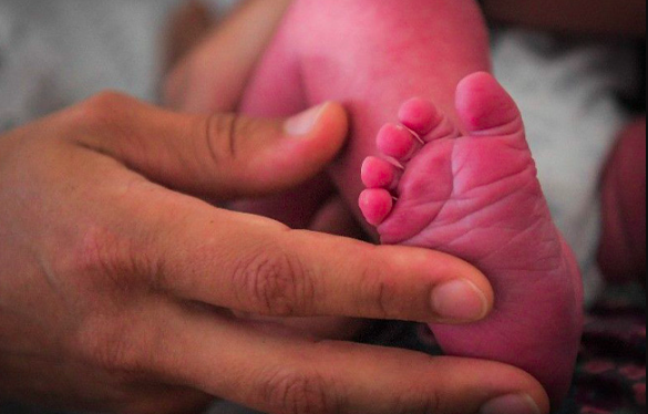 En 2025 Francia tuvo más muertes que nacimientos