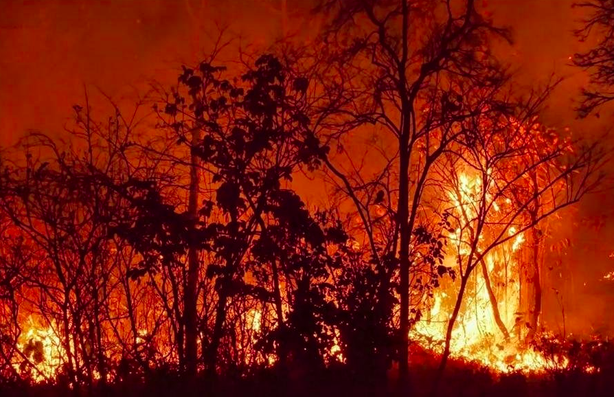 Devastadores incendios en el sur de Chile dejan 16 muertos
