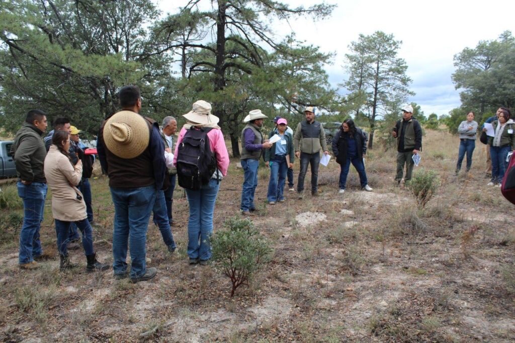 Durango es clave en el proyecto GreenMex para la recuperación verde e inclusiva de México