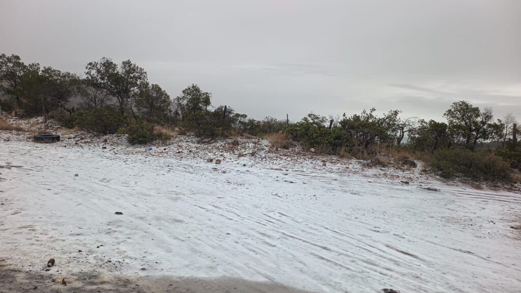 En alerta el Consejo Estatal de Protección Civil ante efectos de la segunda tormenta invernal