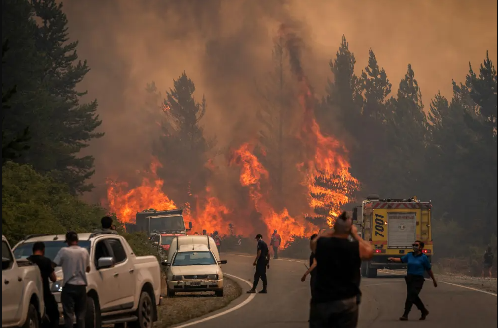 Incendios forestales en Argentina arrasaron con 12 mil hectáreas