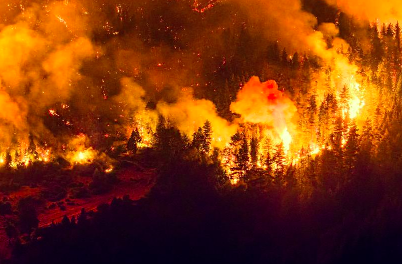 Argentina declara emergencia por incendios en la Patagonia