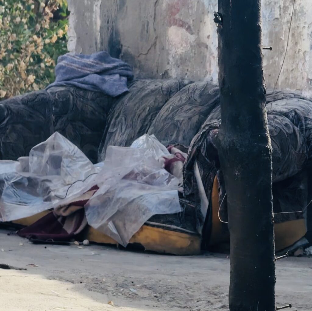 BASURA Y MALEZA CONVIERTEN LOTES ABANDONADOS EN BOMBAS SANITARIAS