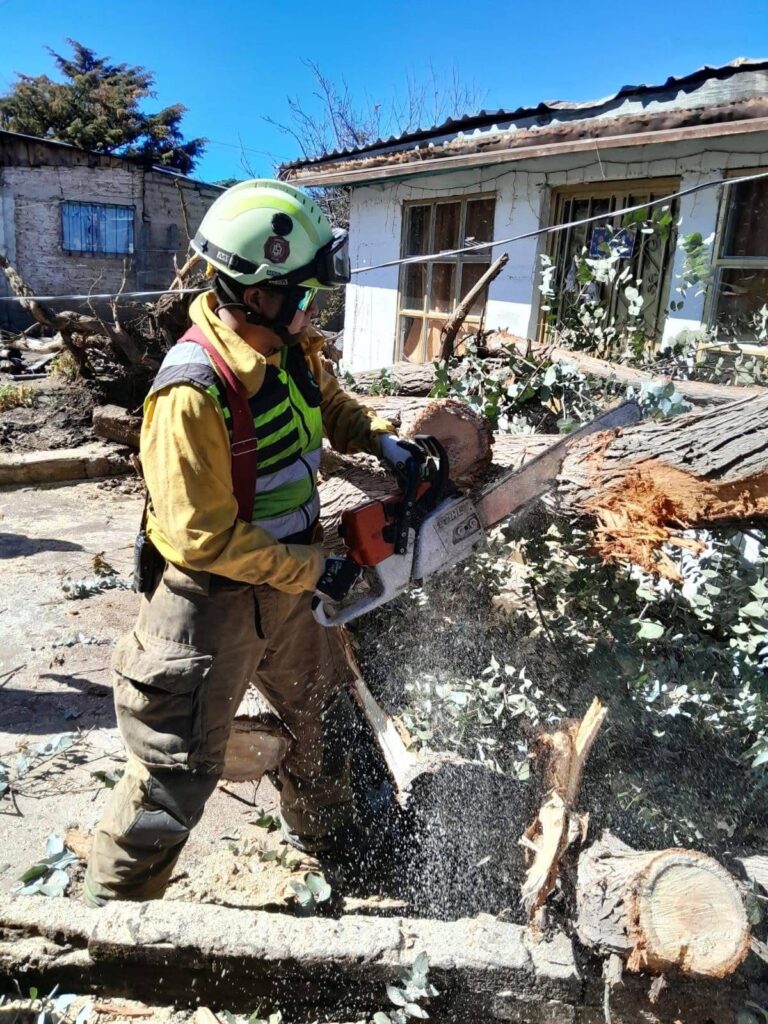 Lluvias provocan deslaves y árboles caídos