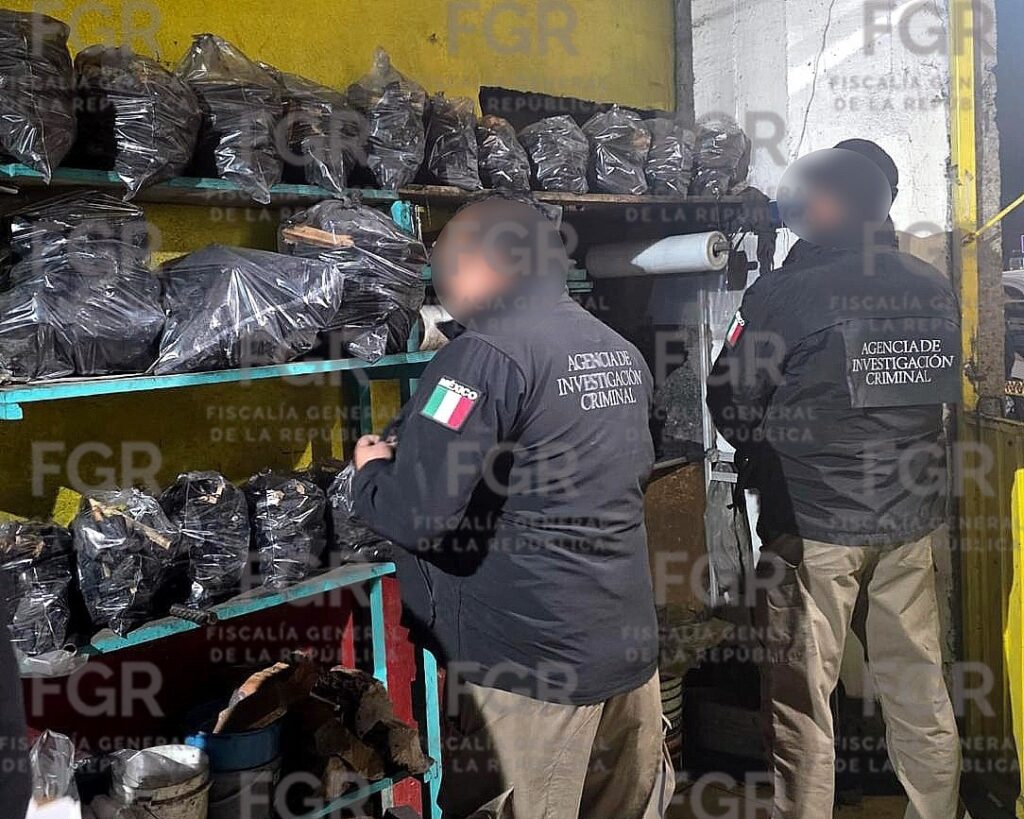 Agentes Federales aseguran negocio por el delito contra los recursos forestales