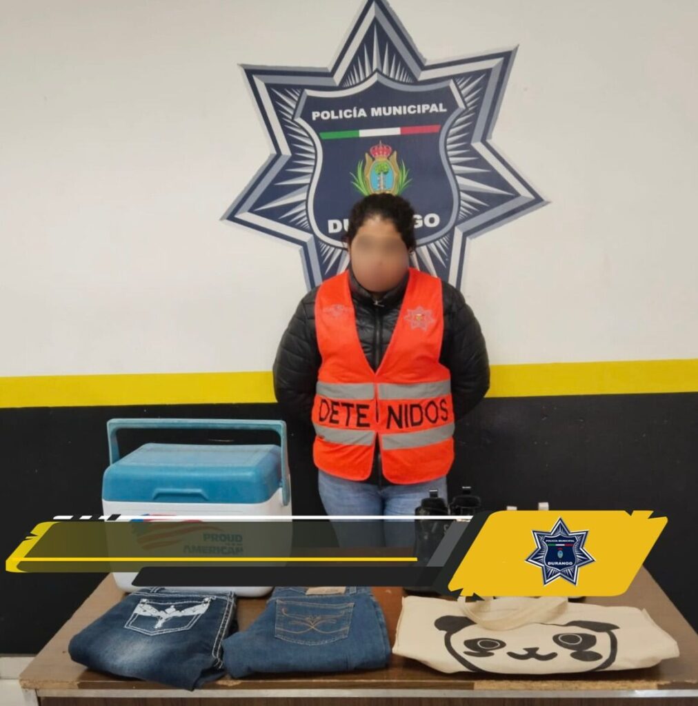 Acusada de robar al interior de un auto, detenida por la policía