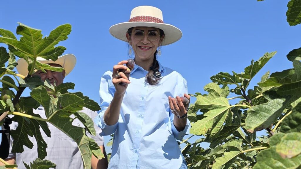 Laura Imelda fortalece diálogo con productores de higo en Santa Anita