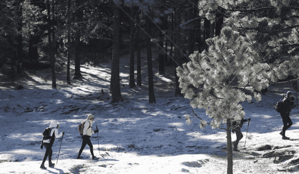 Frente frío 33 trae lluvias y bajas temperaturas a México