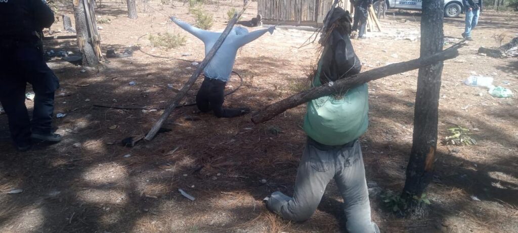 Inhabilitan campamento criminal en Guadalupe y Calvo
