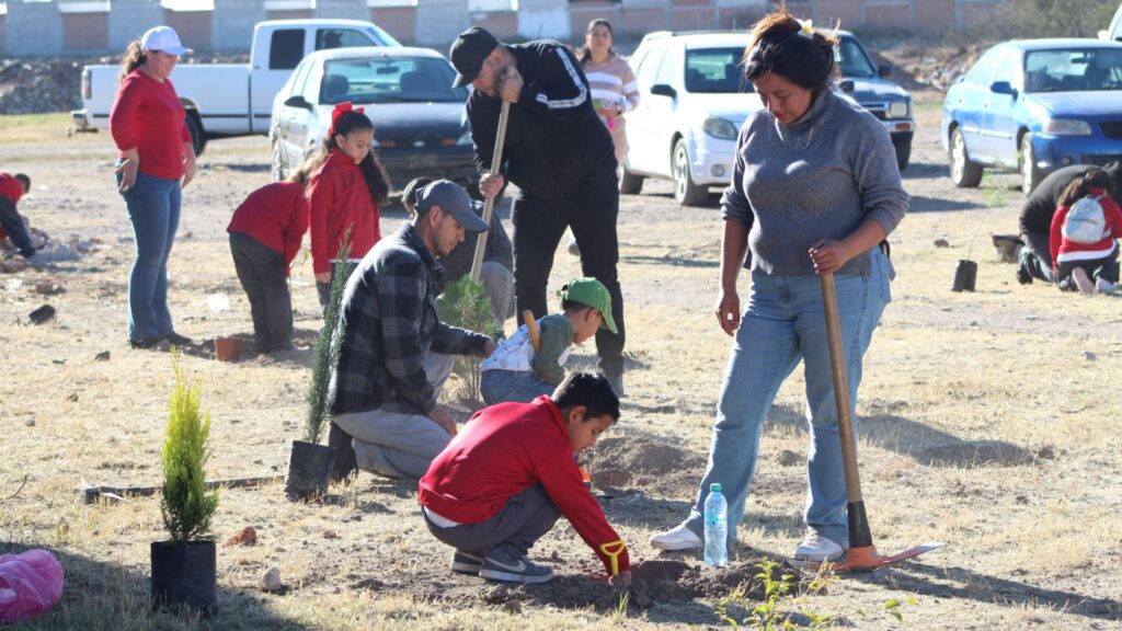 Reforesta Parque San Antonio en Vicente Guerrero