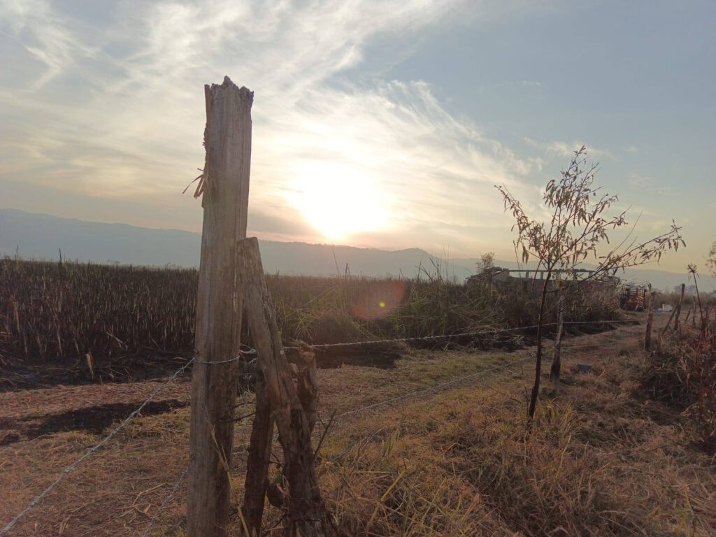 SEMADET desactiva Emergencia Atmosférica en Zapotlán El Grande y Zapotiltic; se reanudan clases