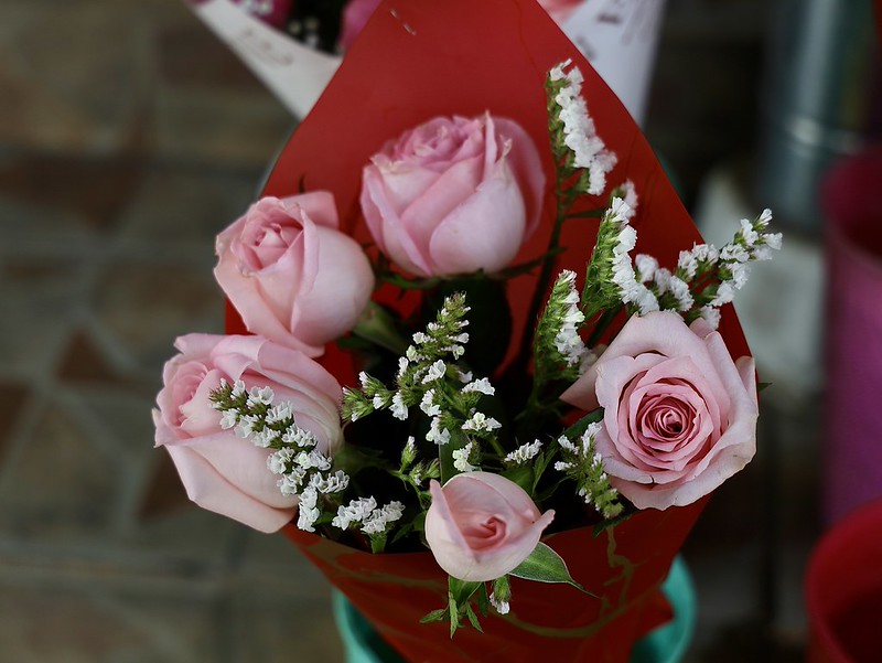 Prevén aumento de hasta 25% en la venta de rosas por el 14 de febrero en Jalisco