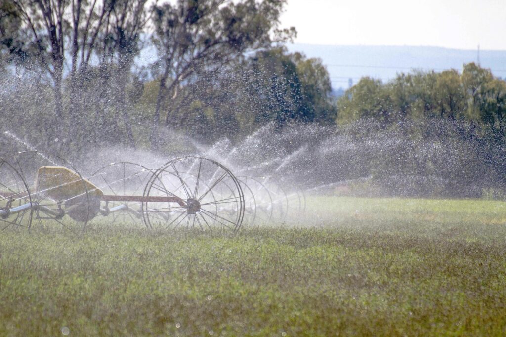 Presas llenas aseguran riego y producción de alimentos en Durango en 2026