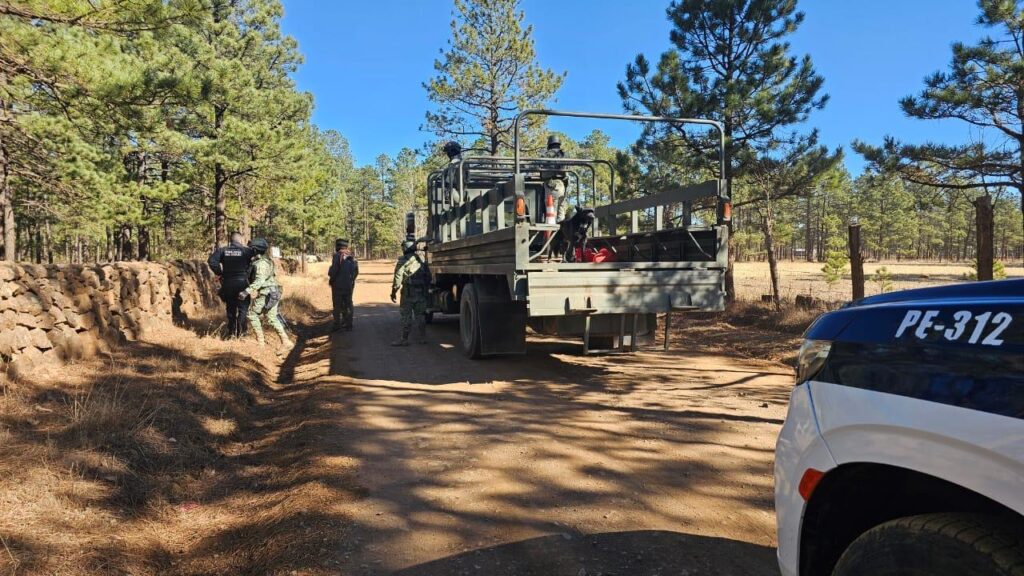 Destruyen campamento del crimen en Guachochi