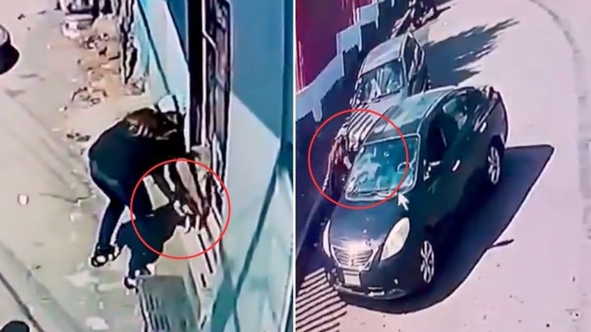 VIDEO: Repartidores de paquetería se roban un perro de una casa