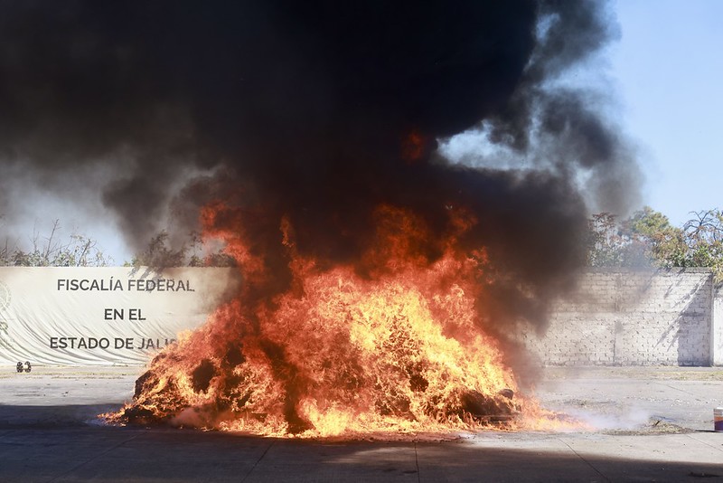 Destruyen  más de dos toneladas de narcóticos en Jalisco