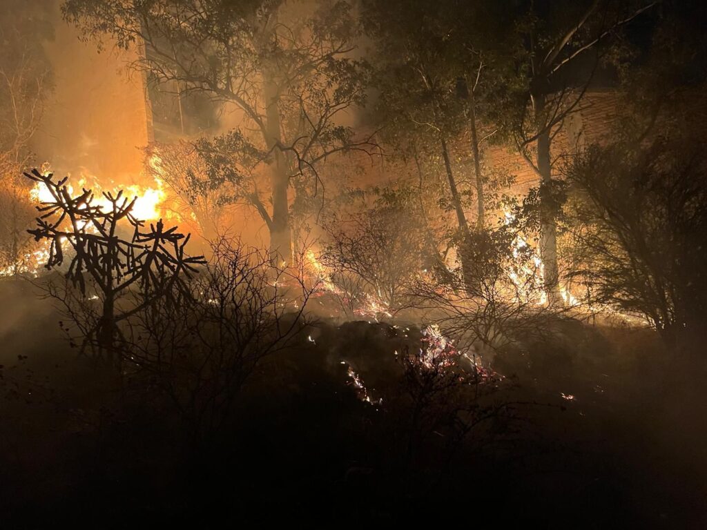 Protección Civil atendió 31 incendios en pastizales y lotes baldíos