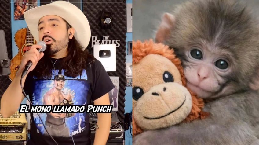 Lanzan corrido inspirado en el monito Punch y su peluche Lupe