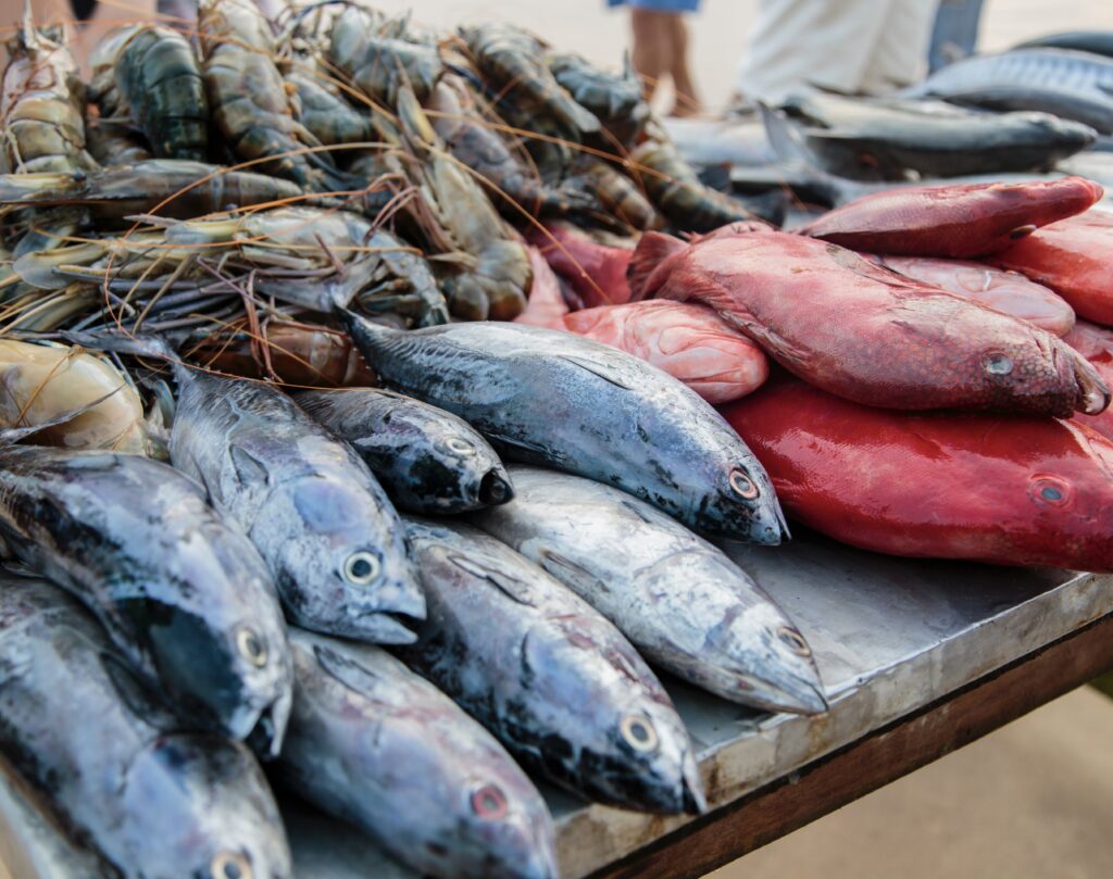 ¡Cero tolerancia! Municipio advierte sanciones por venta irregular de mariscos