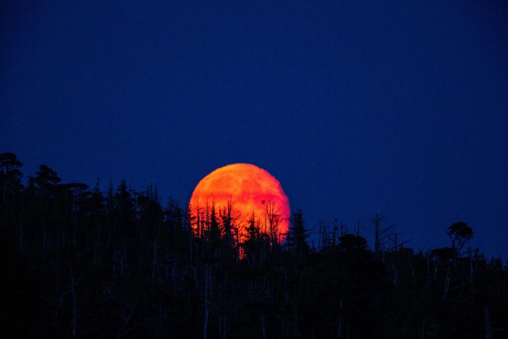 Eclipse de Luna Roja: fecha, hora y cómo verlo desde México