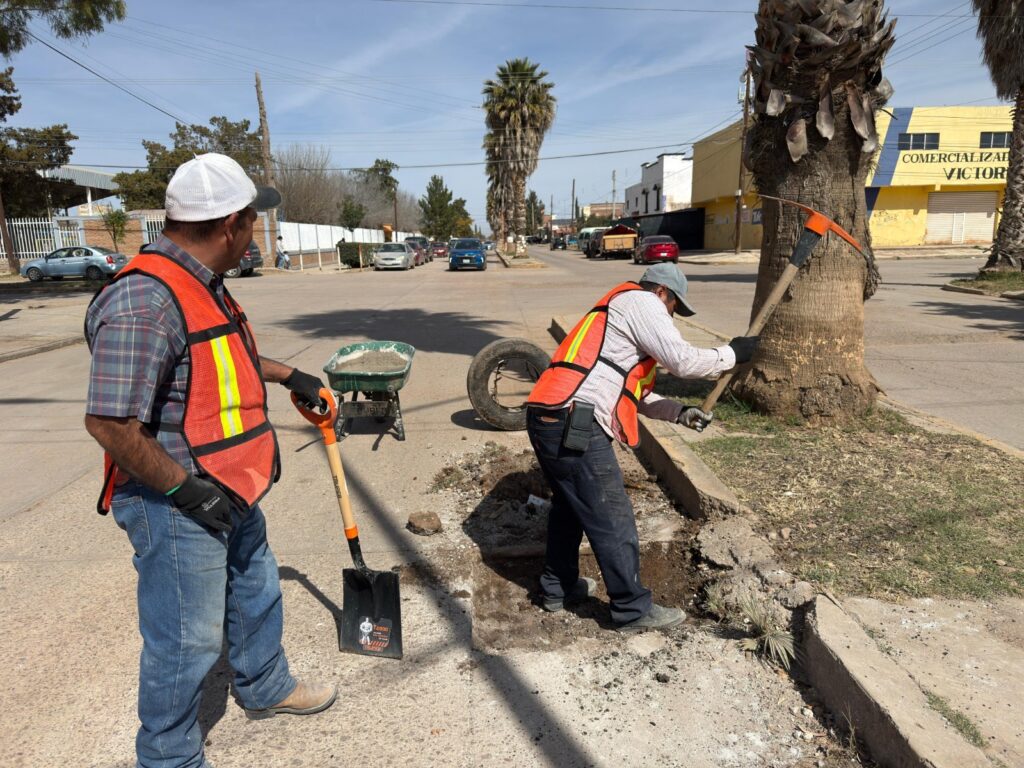 Atienden reporte ciudadano en cruce de avenida Hidalgo y Felipe Ángeles, en Guadalupe Victoria