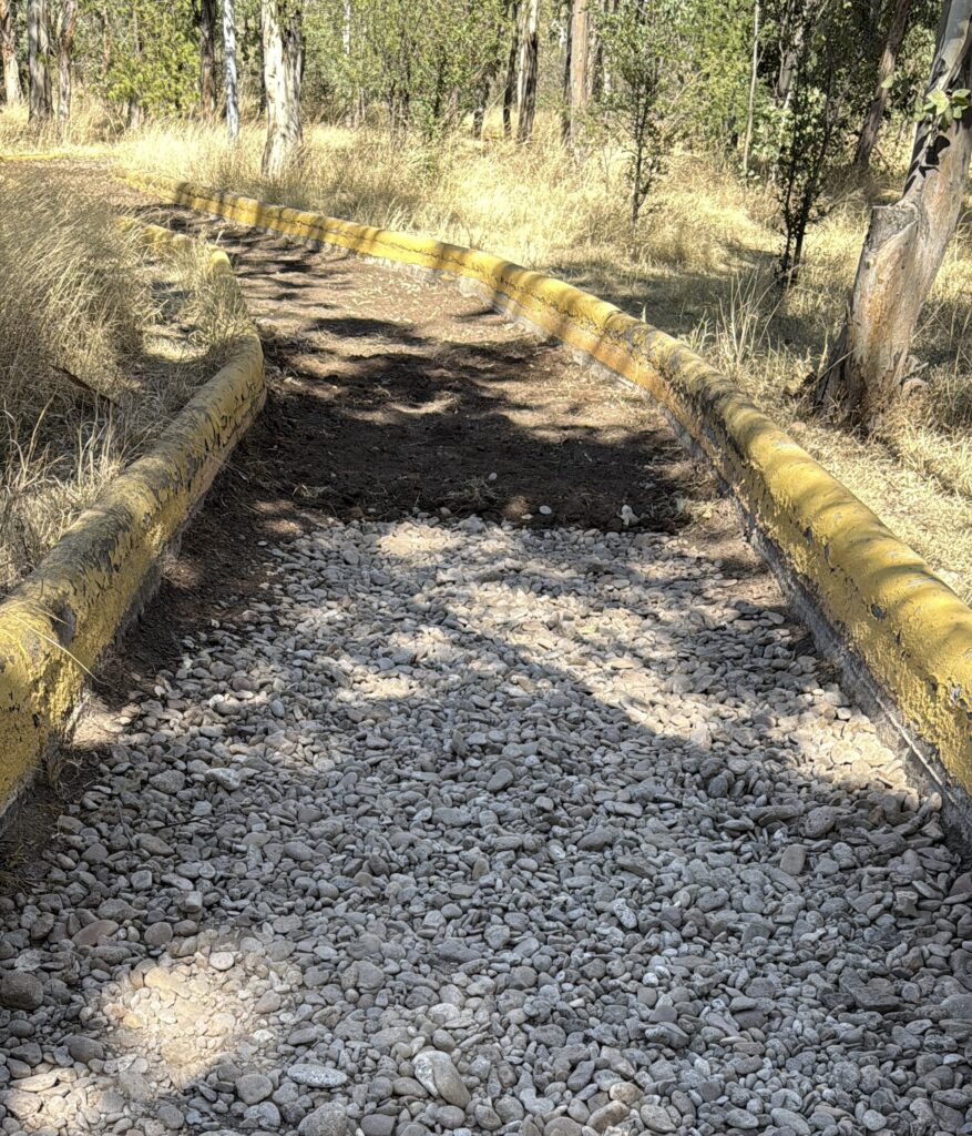 Rescatan el corazón verde de Durango: refuerzan acciones en Sahuatoba y Guadiana