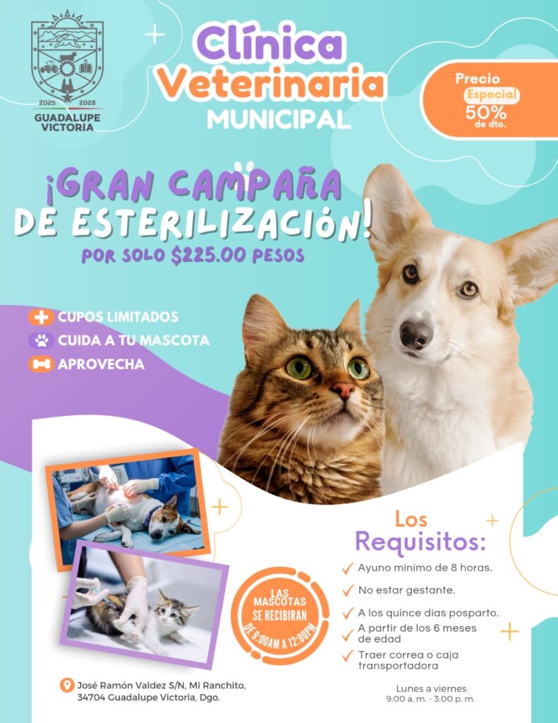 Anuncian campaña de esterilización con descuento en Guadalupe Victoria