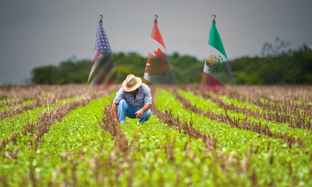 Grupos agrarios lanzan coalición para defender la renovación del T-MEC.