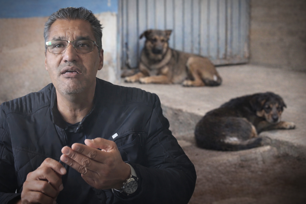Garrapata café del perro eleva riesgo de rickettsiosis en Durango por calor: SSD