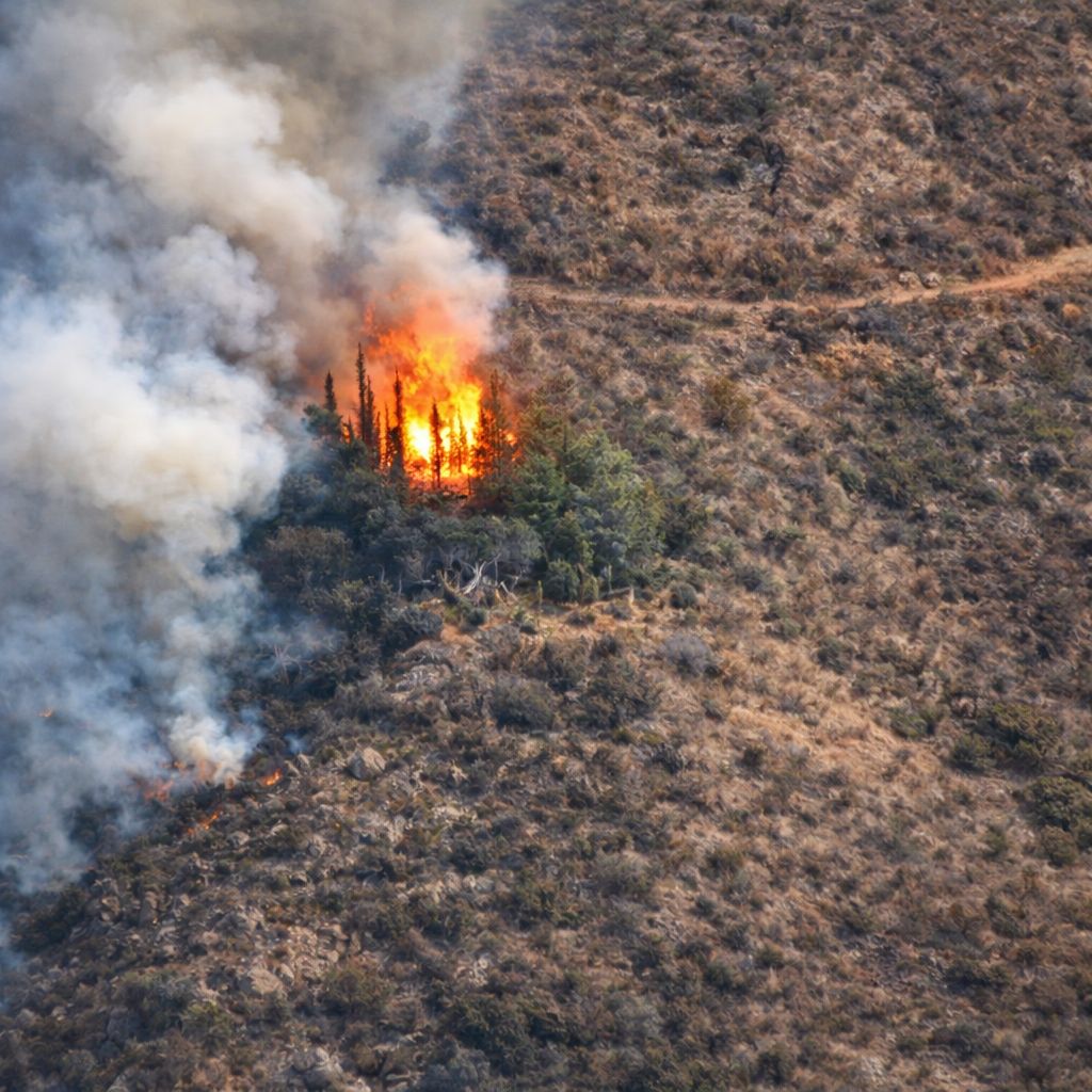 Queman delincuentes la sierra en el «Triangulo Dorado»