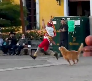 El ‘Perrito de Papantla’ encanta a México