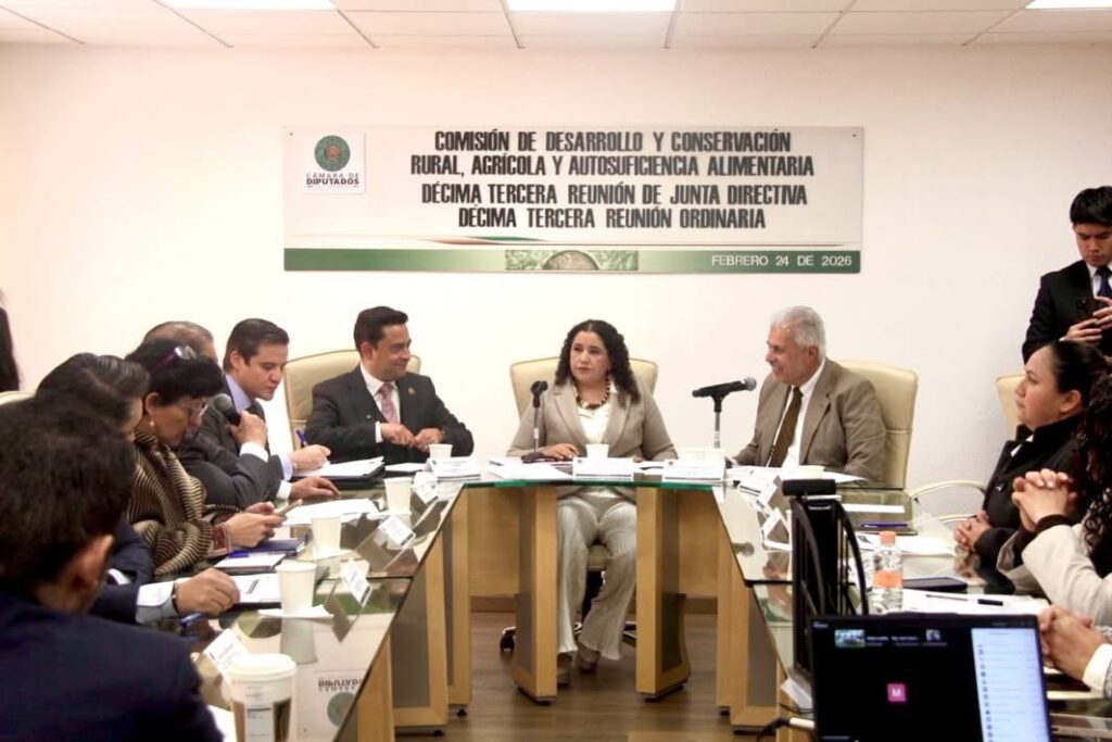 Irregularidades en acopio de frijol llevan a citar a secretario de Agricultura
