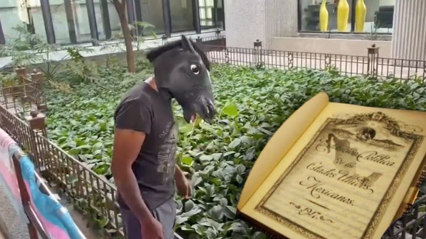 Joven que se identifica como caballo propone “Ley Therian” contra el bullying