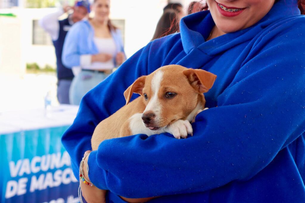 Lleva el programa PAN a tu Barrio servicios gratuitos y atención directa a Huizache II.