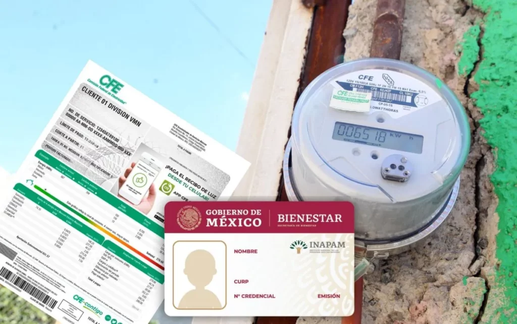 Adultos mayores: Tarjeta INAPAM y el mito del descuento en la CFE