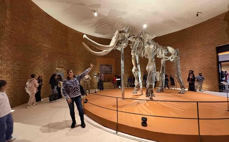 Museo del Mamut reabre sus puertas tras cuatro años
