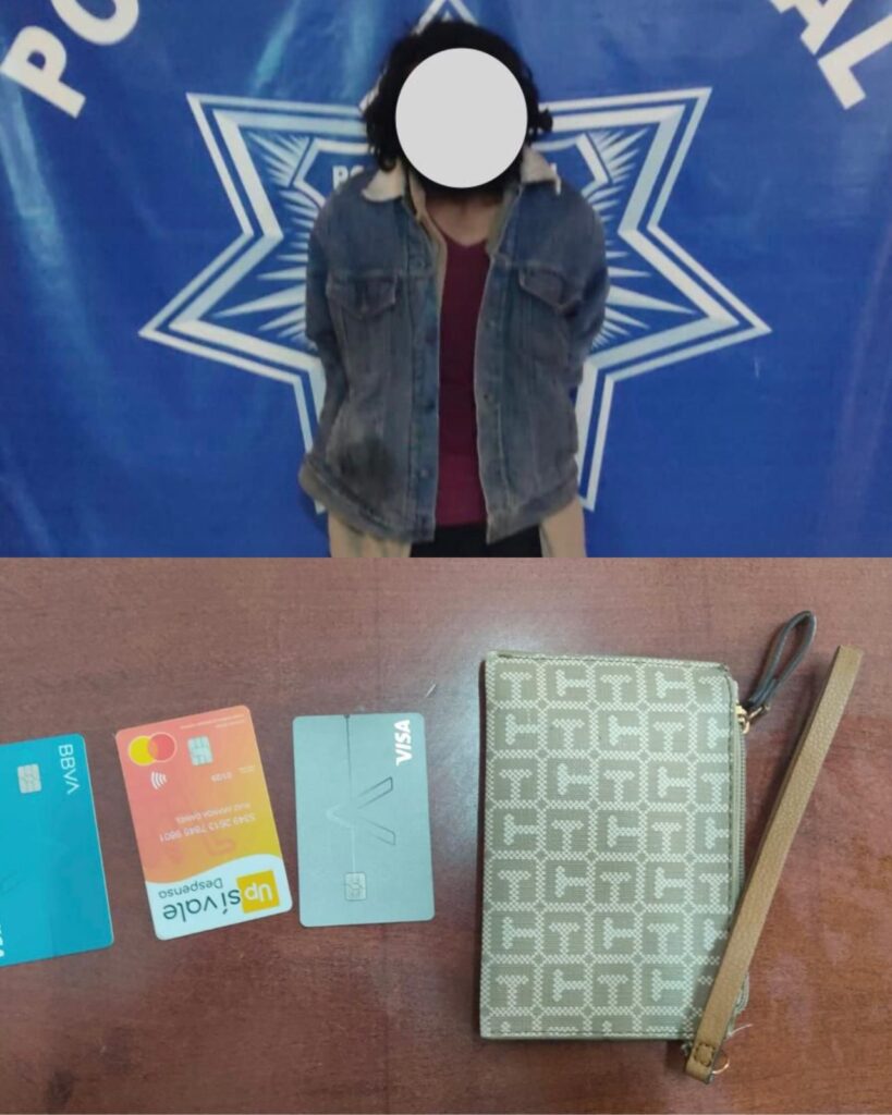 El Operativo Dragón detiene a sujeto por robarle la cartera a una mujer