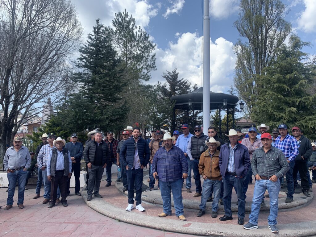 Solicitan freno a importación de madera extranjera barata