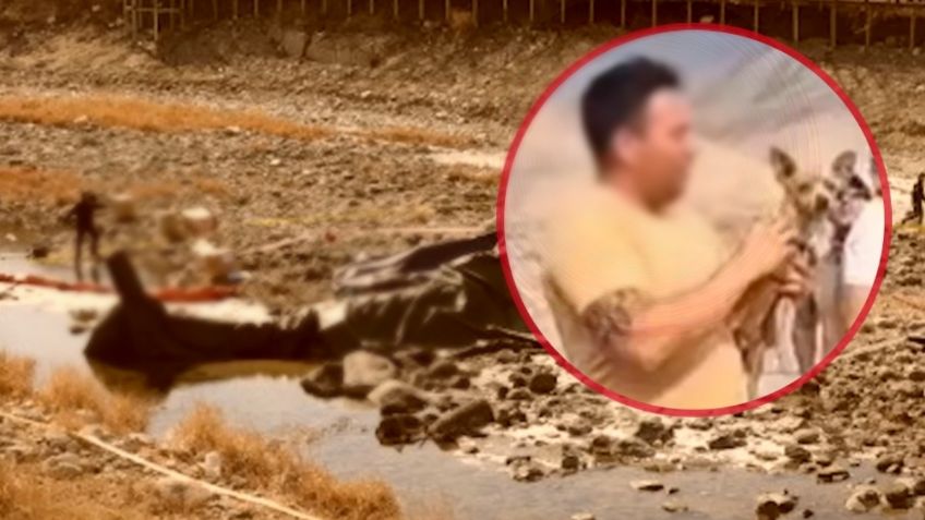 Perrito chihuahua sobrevive a desplome de helicóptero que dejó 15 muertos