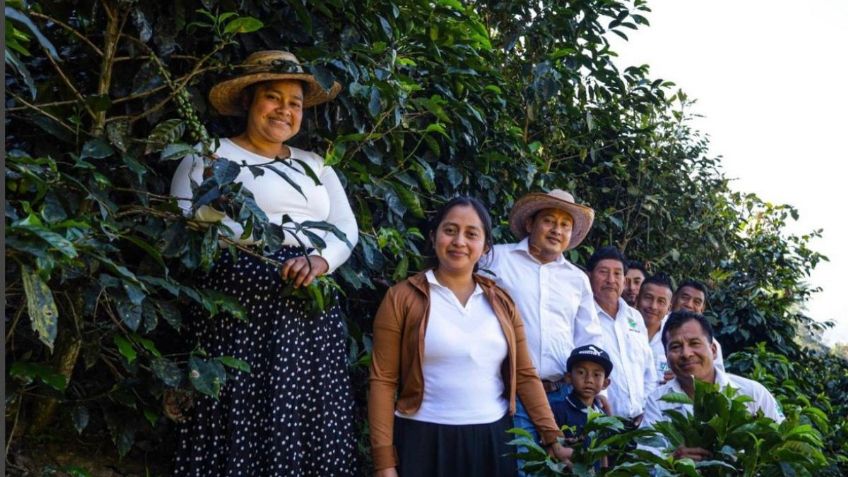 Café, cacao y limón mexicano llegan a Alemania con el programa Sembrando Vida
